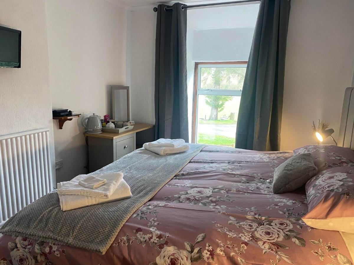 Rhydydefaid Bed And Breakfast, Guesthouse In Frongoch, Snowdonia المظهر الخارجي الصورة